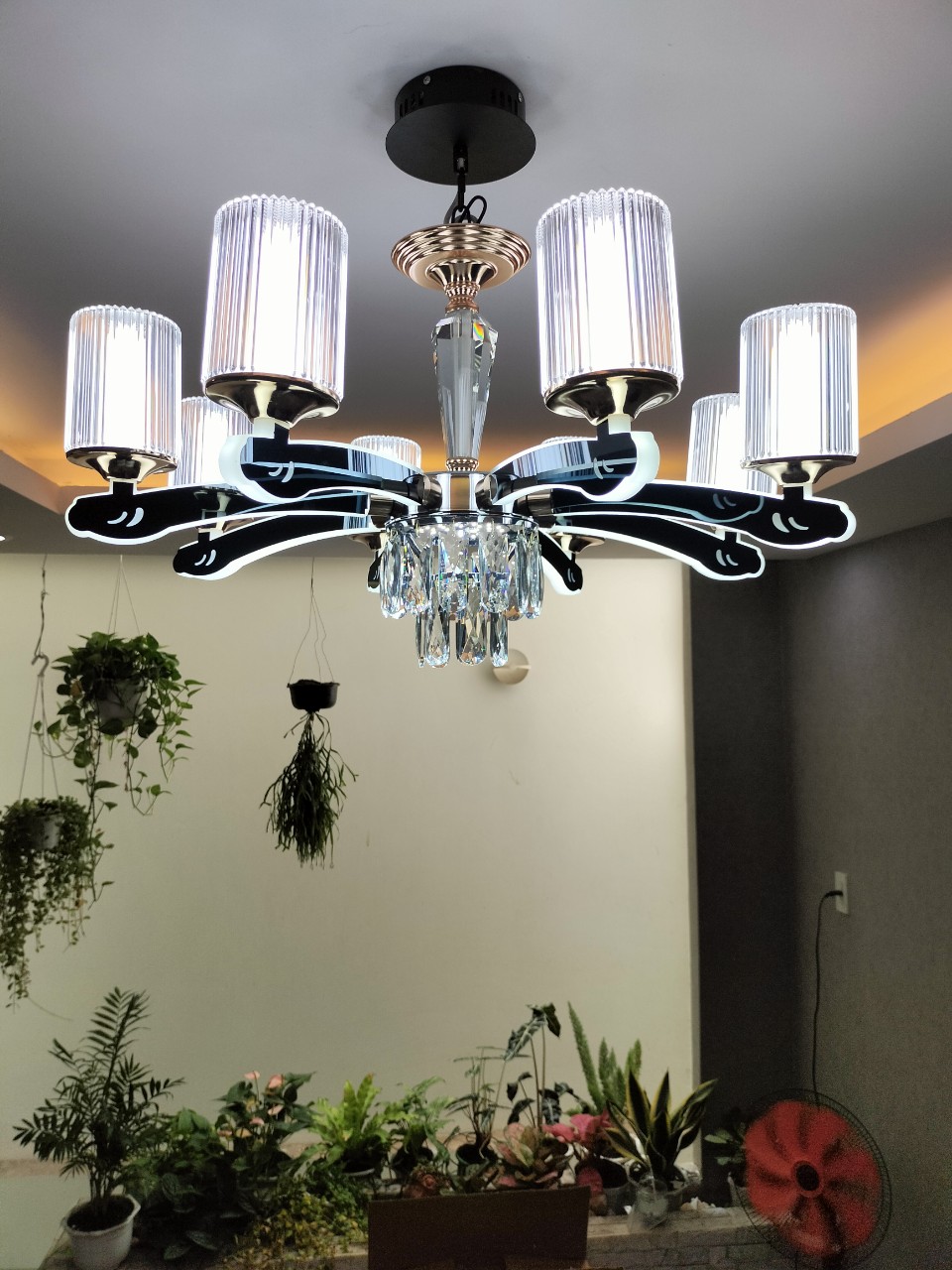 Đèn chùm Led hiện đại 8 tay DC8835T8 ánh sáng trắng