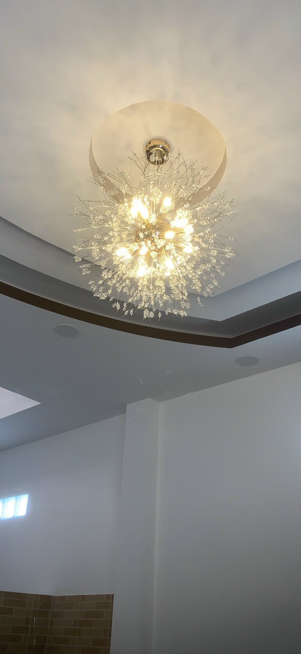 Đèn thả cầu hoa bồ công anh đường kính 50cm TPL71T9B ánh sáng vàng