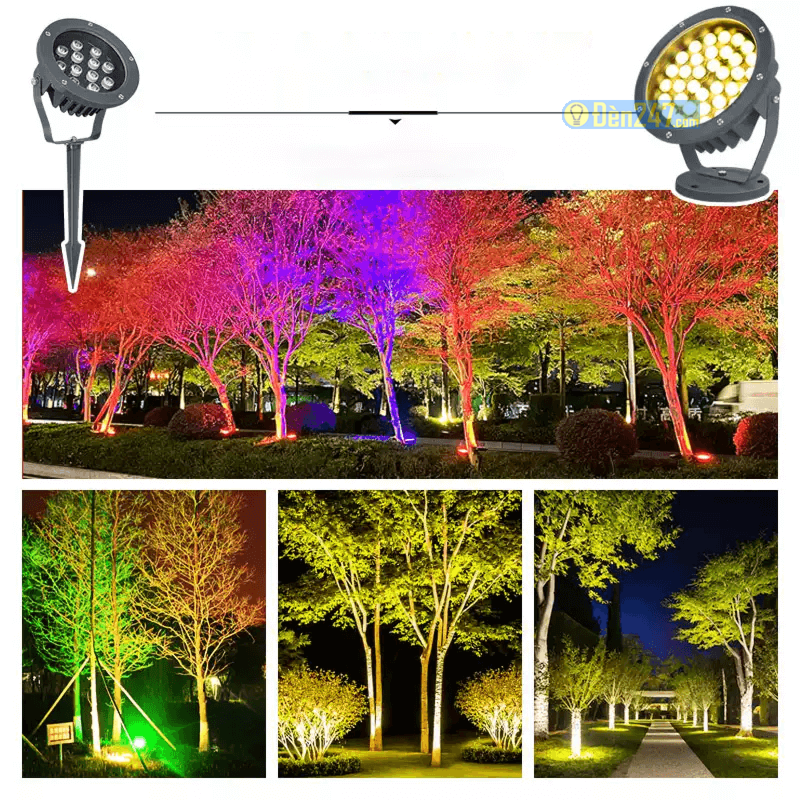 Đèn Rọi Cây Sân Vườn: Kỹ Thuật Up-Lighting Chuẩn Cảnh Quan