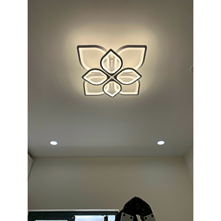 Đèn ốp trần hiện đại 8 cánh đường kính 60cm OT7015T8