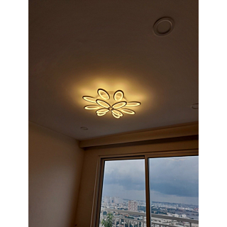 Đèn ốp trần hiện đại 12 cánh đường kính 75cm OT7021T12