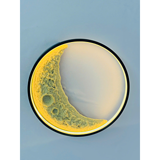 Đèn ốp trần | Treo tường mặt trăng khuyết in nổi 40cm VK128T400