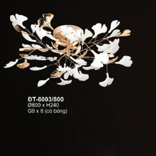 Đèn ốp trần hiện đại DT-6003/800