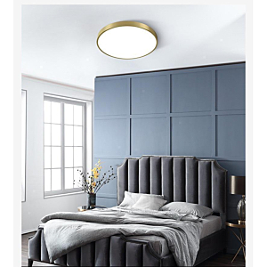 Đèn ốp trần đồng Led 3 chế độ đường kính 30cm OD02T300