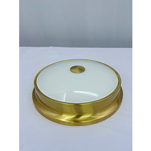 Đèn ốp trần đồng Led 3 chế độ đường kính 30cm OD10