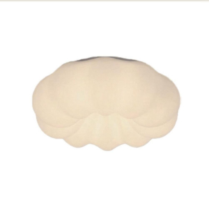 Đèn ốp trần hiện đại OT1101