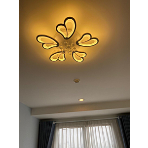 Đèn ốp trần hiện đại 5 cánh đường kính 60cm OT8063T5