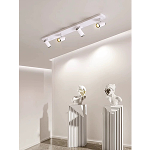 Đèn LED Rọi Điểm 4 Bóng Hiện Đại RT9118T4