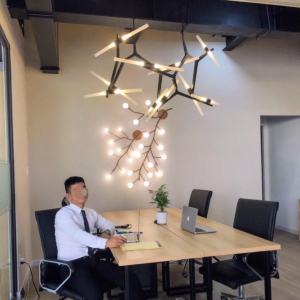 Đèn thả nhánh 14 bóng màu Den TTK14N14-Den