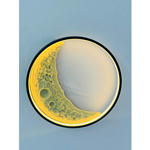 Đèn ốp trần | Treo tường mặt trăng khuyết in nổi 40cm VK128T400