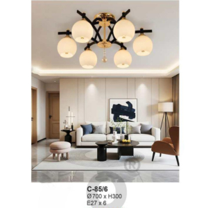 Đèn ốp trần hiện đại C-85/6
