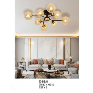 Đèn ốp trần hiện đại C-88/8