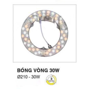 Bóng vòng 30W