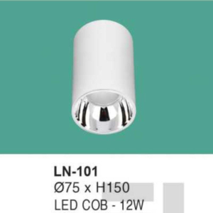 Đèn lon nổi ốp trần ánh sáng vàng LN-101-ASV