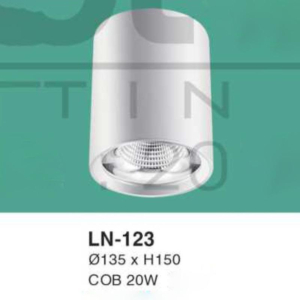 Đèn lon nổi ốp trần ánh sáng trắng LN-123-AST