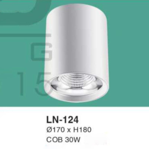 Đèn lon nổi ốp trần ánh sáng trung tính LN-124-ASTT