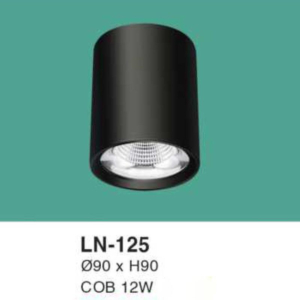 Đèn lon nổi ốp trần ánh sáng trắng LN-125-AST