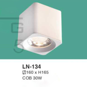 Đèn lon nổi ốp trần ánh sáng vàng LN-134-ASV