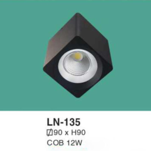 Đèn lon nổi ốp trần ánh sáng trắng LN-135-AST