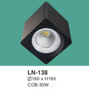 Đèn lon nổi ốp trần ánh sáng vàng LN-138-ASV