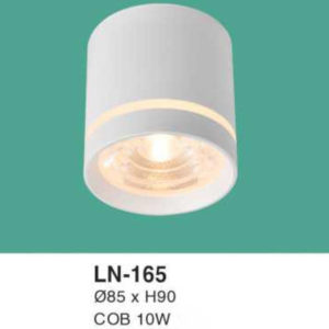 Đèn lon nổi ốp trần ánh sáng trung tính LN-165-ASV