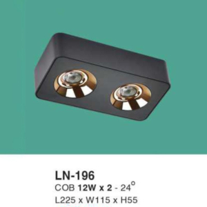 Đèn lon nổi ốp trần ánh sáng vàng LN-196-ASV