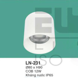 Đèn lon nổi ốp trần kháng nước ánh sáng vàng LN-231-ASV