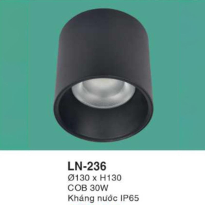 Đèn lon nổi ốp trần kháng nước ánh sáng trắng LN-236-AST