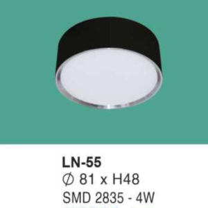 Đèn lon nổi ốp trần ánh sáng trắng LN-55-AST
