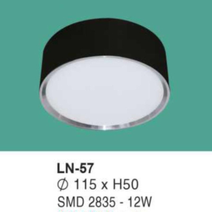 Đèn lon nổi ốp trần ánh sáng trắng LN-57-AST