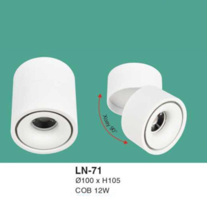 Đèn lon nổi ốp trần ánh sáng vàng LN-71-ASV