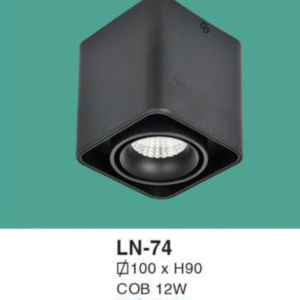 Đèn lon nổi ốp trần ánh sáng vàng LN-74-ASV