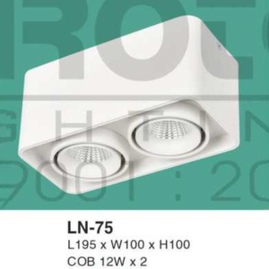 Đèn lon nổi ốp trần ánh sáng vàng LN-75-ASV