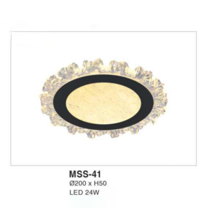 Đèn ốp trần hiện đại MSS-41