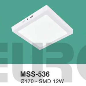 Đèn ốp nổi ánh sáng vàng MSS-536-ASV