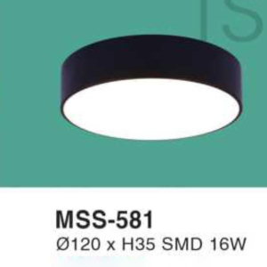 Đèn ốp nổi ánh sáng vàng MSS-581-ASV