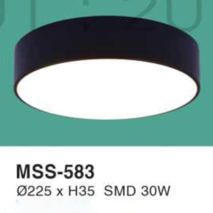 Đèn ốp nổi ánh sáng vàng MSS-583-ASV