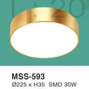 Đèn ốp nổi ánh sáng vàng MSS-593-ASV