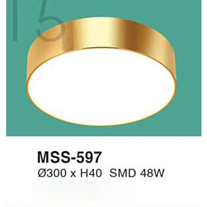 Đèn ốp nổi ánh sáng trắng MSS-597-AST