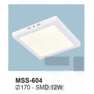 Đèn ốp nổi MSS-604