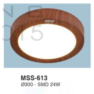 Đèn ốp nổi MSS-613
