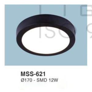 Đèn ốp nổi MSS-621