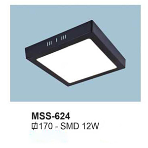 Đèn ốp nổi MSS-624