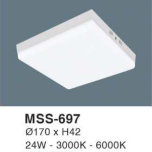 Đèn ốp nổi ánh sáng vàng MSS-697-ASV