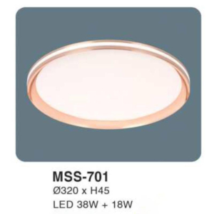 Đèn ốp trần hiện đại MSS-701