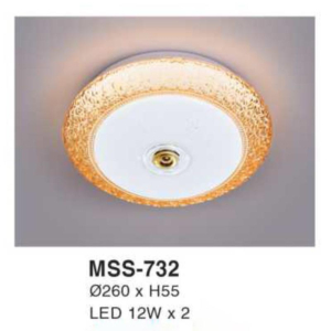 Đèn ốp trần hiện đại MSS-732