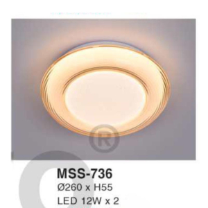 Đèn ốp trần hiện đại MSS-736
