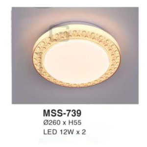 Đèn ốp trần hiện đại MSS-739