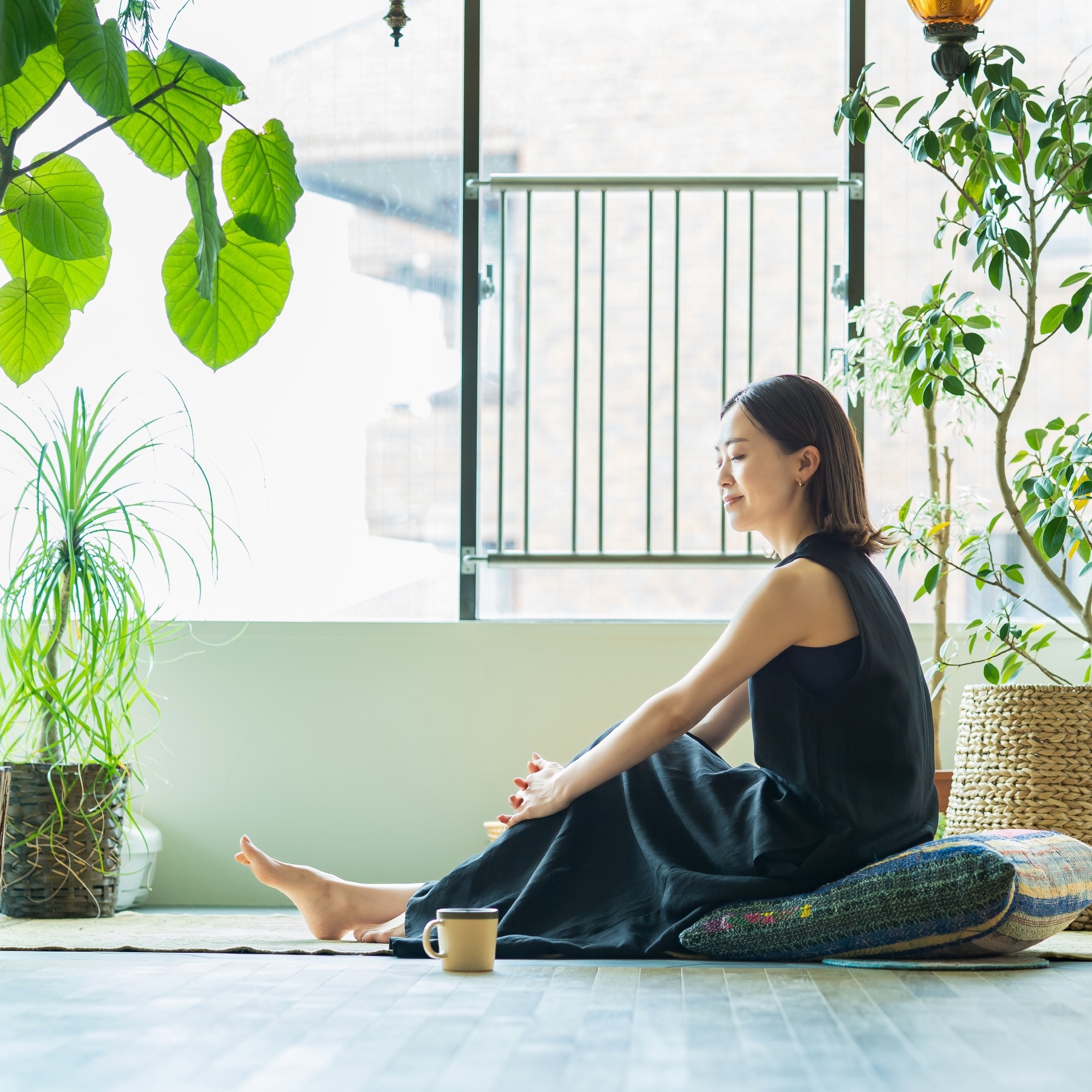 Làn gió mát nhẹ nhàng và sảng khoái