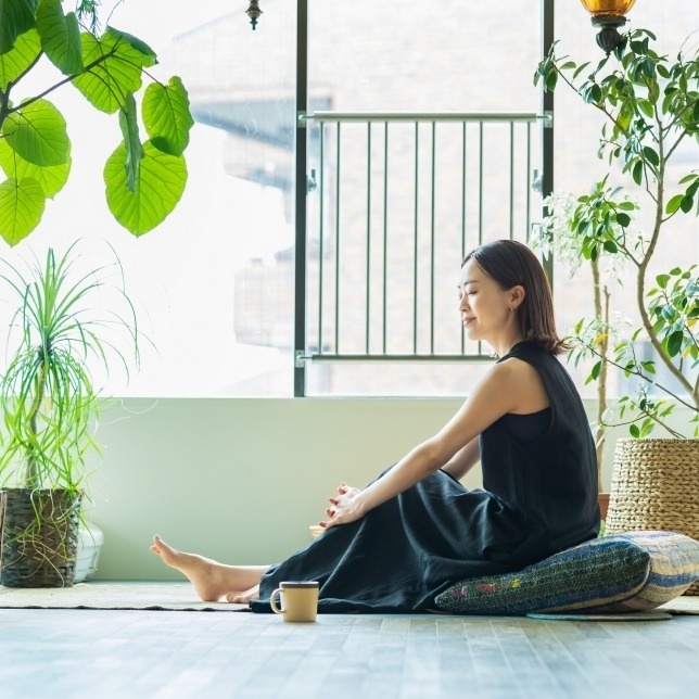 Làn gió mát nhẹ nhàng và sảng khoái